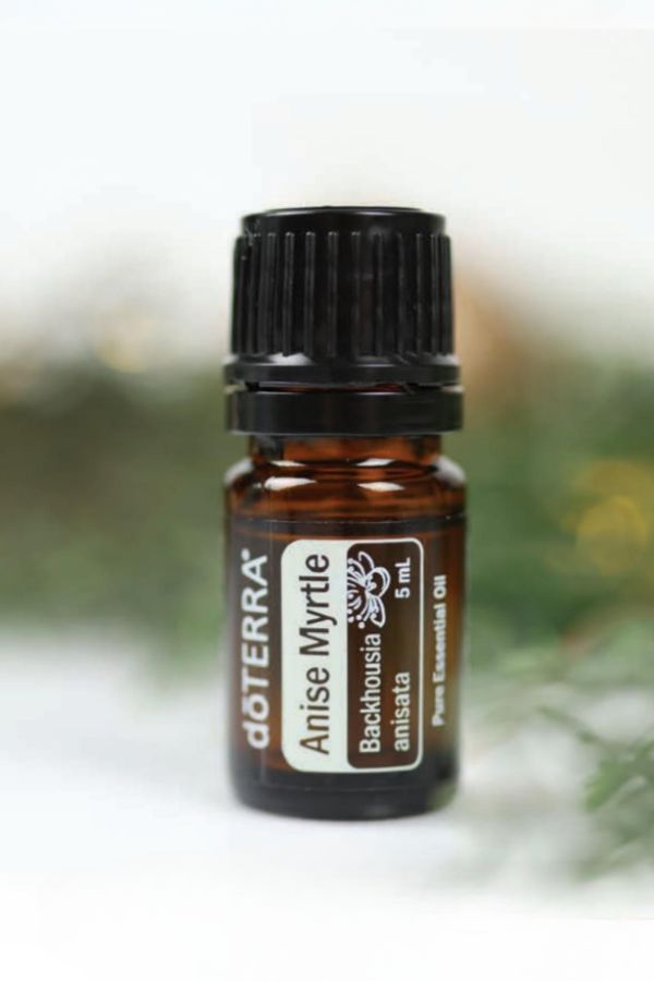 Anise Myrtle essential oil (Aniseed Myrtle)