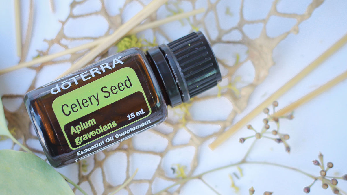 What is Celery Seed Essential Oil? - doTERRA