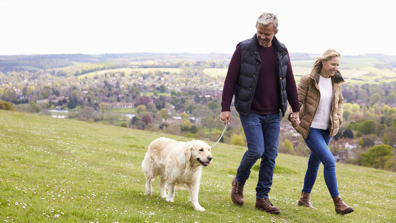 4 Important Supplements for Dogs - doTERRA