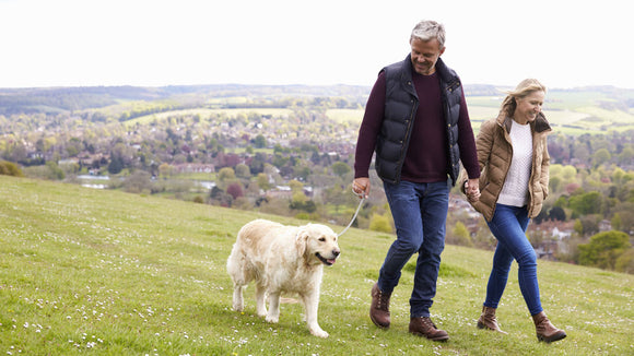 4 Important Supplements for Dogs - doTERRA