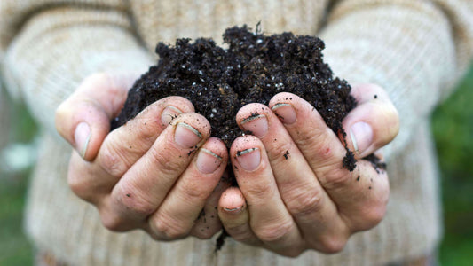Sustaining Our Soil - doTERRA