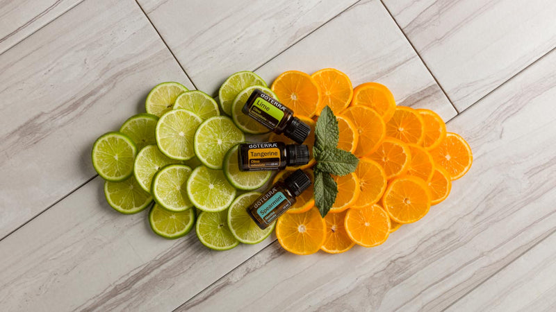 Our Best Kept Secrets: Spearmint, Tangerine, and Lime