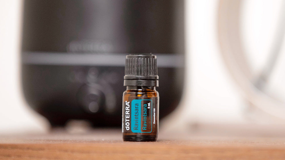 How to use doTERRA Ravintsara Essential Oil