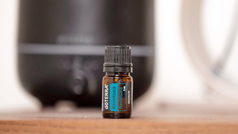 How to use doTERRA Ravintsara Essential Oil