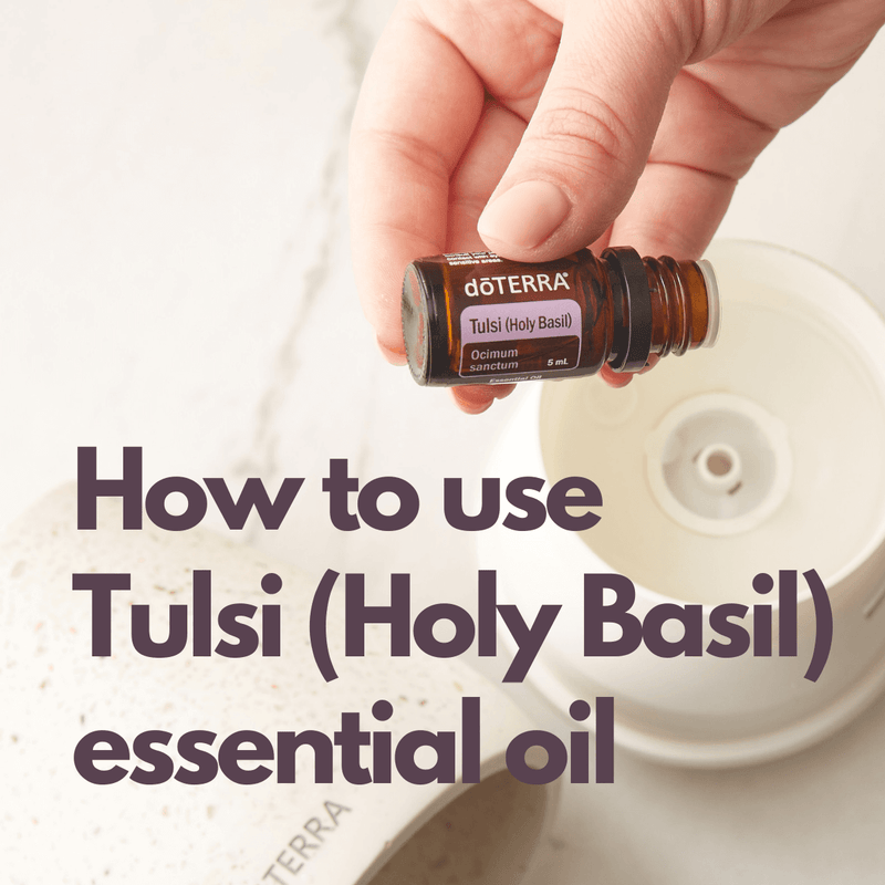 How to use doTERRA Tulsi (Holy Basil) essential oil