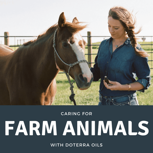 Caring for Farmyard Animals with doTERRA Essential Oils