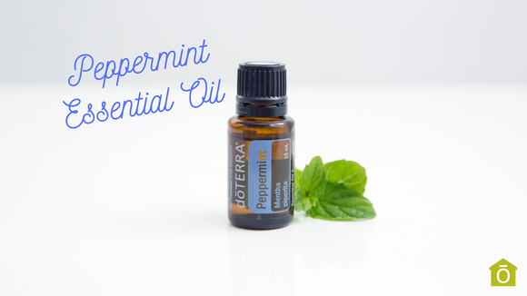 20 Very Useful Ways to Use Peppermint Oil - doTERRA