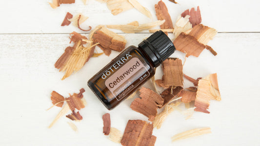 Uses and Benefits of Cedarwood Essential Oil
