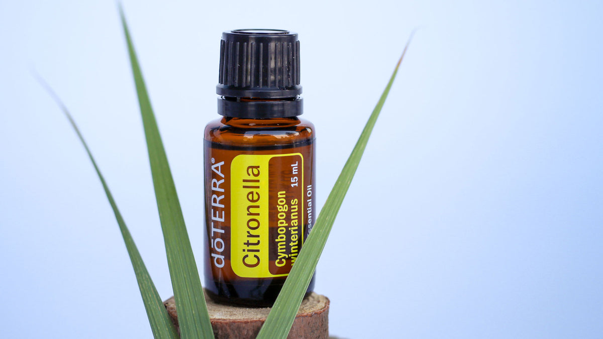 What is Citronella Essential Oil For? - doTERRA