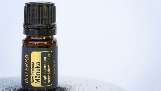 What is Manuka Essential Oil for? - doTERRA