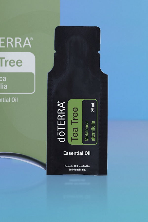 Close-up of the doTERRA Tea Tree .25 mL black sample sachet standing upright in front of its green pillow box on a blue background. doTERRA Tea Tree Essential Oil Sample (.25 mL)