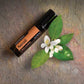 A small black dōTERRA Neroli essential oil roller bottle placed diagonally on a textured gray stone surface, styled with green leaves and white neroli blossoms.