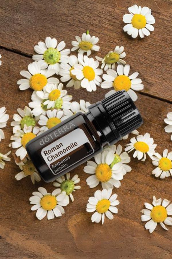 doTERRA Roman Chamomile Essential Oil