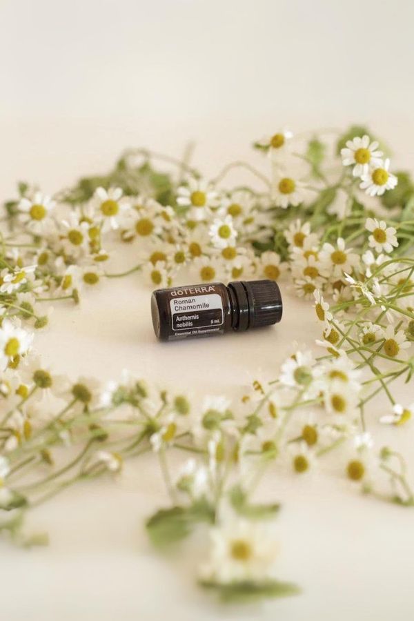 doTERRA Roman Chamomile Essential Oil