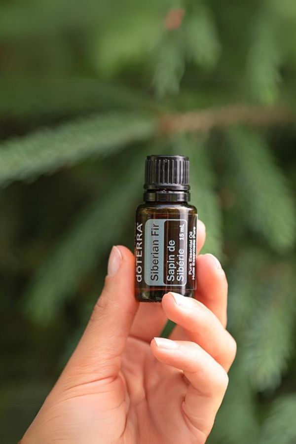 doTERRA Siberian Fir Essential Oil