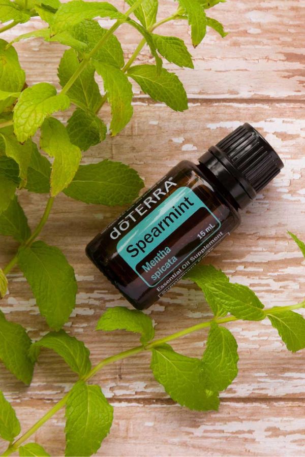 BOGO: Buy Spearmint, Get Eucalyptus Free