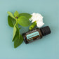 BOGO: Buy Spearmint, Get Eucalyptus Free