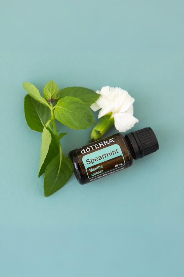 BOGO: Buy Spearmint, Get Eucalyptus Free