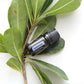 doTERRA Spikenard Essential Oil