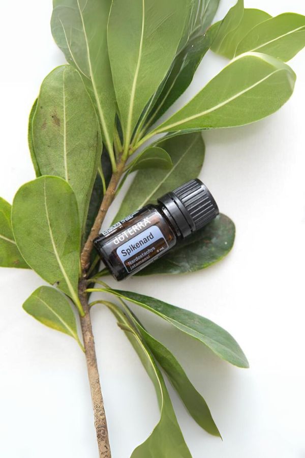 doTERRA Spikenard Essential Oil