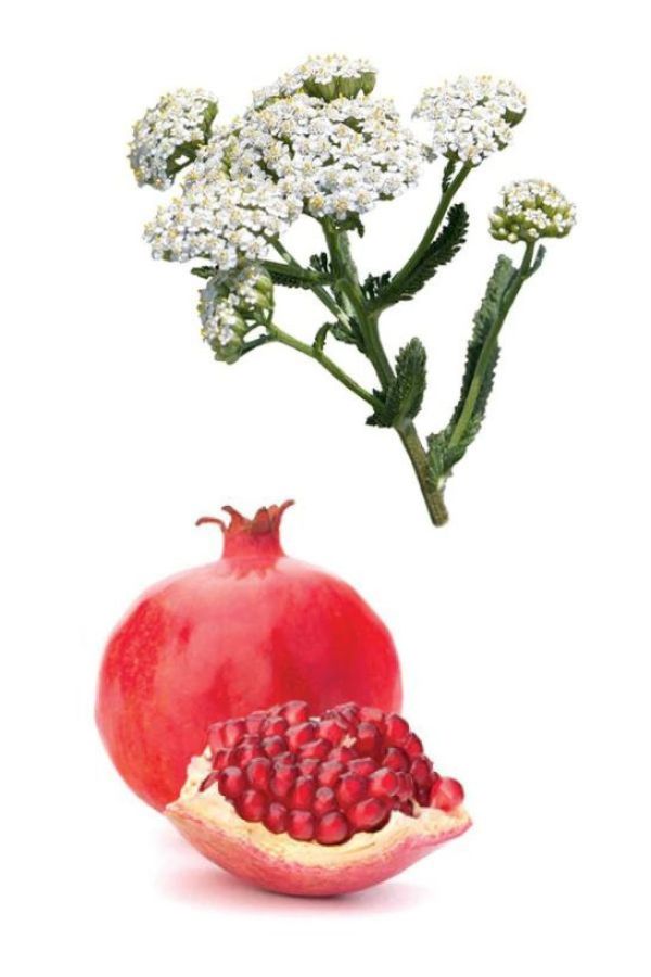 doTERRA Yarrow | Pom - Active Botanical Nutritive Duo – Home
