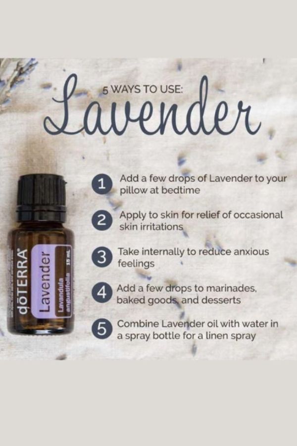doTERRA Lavender Essential Oil | dōTERRA – Home Essential Oils doTERRA Lavender Essential Oil | dōTERRA – Home Essential Oils