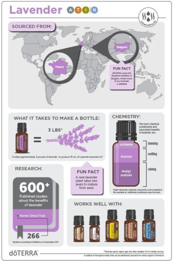 エッセンシャルオイル doTERRA PHOSSIL & Lavender 15mL doTerra Lavender Oil - 15ml — Hi Brazil Market