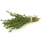 doTERRA Thyme Essential Oil