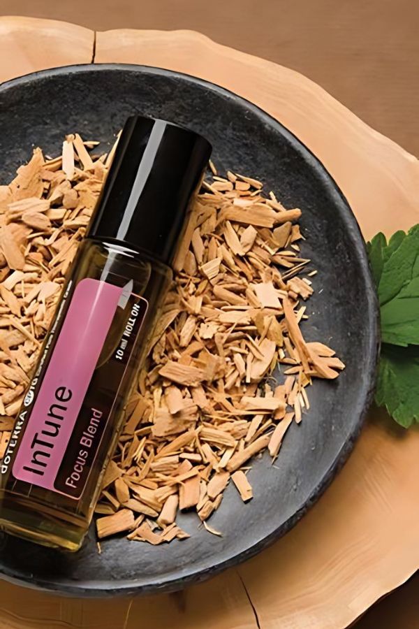 doTERRA InTune Focus Blend Roll-on