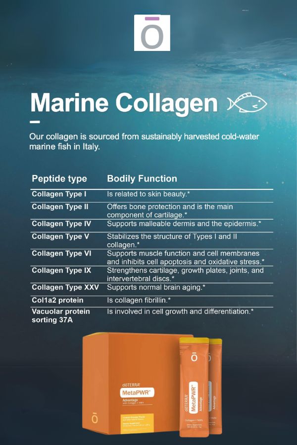 doTERRA MetaPWR Advantage Collagen | doTERRA – Home doTERRA MetaPWR Advantage Collagen | doTERRA – Home