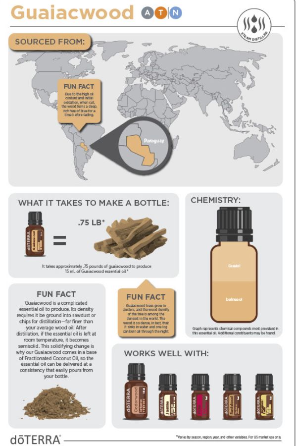 An informational infographic poster about Guaiacwood essential oil by dóTERRA, featuring a world map with a highlighted source region, a bottle of oil, wood pieces, chemistry details, and a row of recommended essential oil bottles.