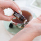 A person's hand holds a small amber glass essential oil bottle labeled 'MELINDA' above an open cup of tea, with a blurred light-colored background. doTERRA Sandalwood (Hawaiian Iliahi) Essential Oil