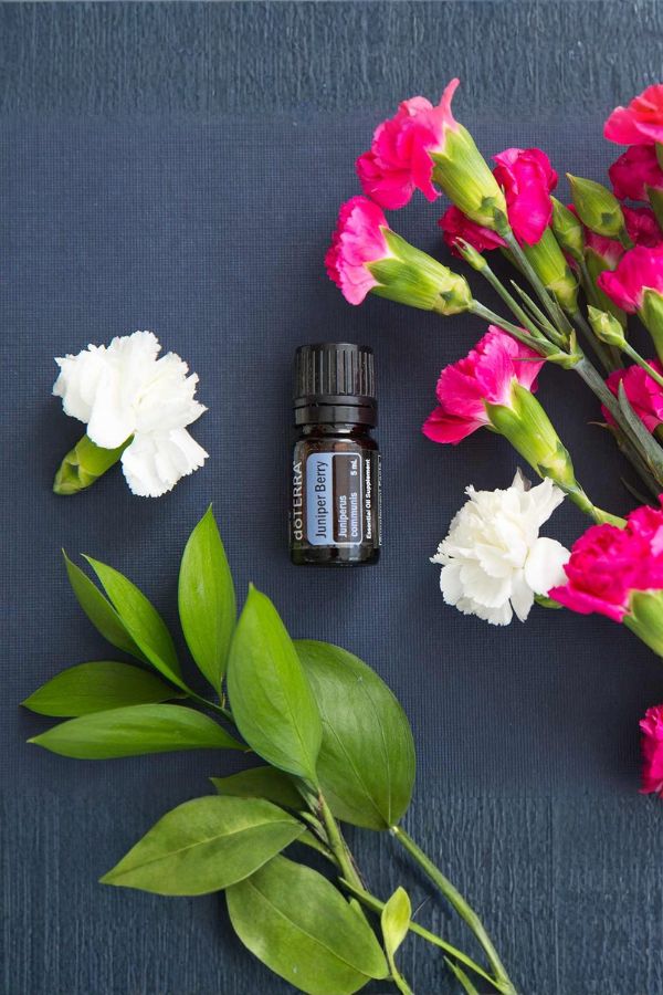A small amber essential oil bottle labeled 'Pleasant Valley' is arranged on a dark blue textured surface with white and pink flowers and green leaves  doTERRA Juniper Berry Essential Oilaround it.