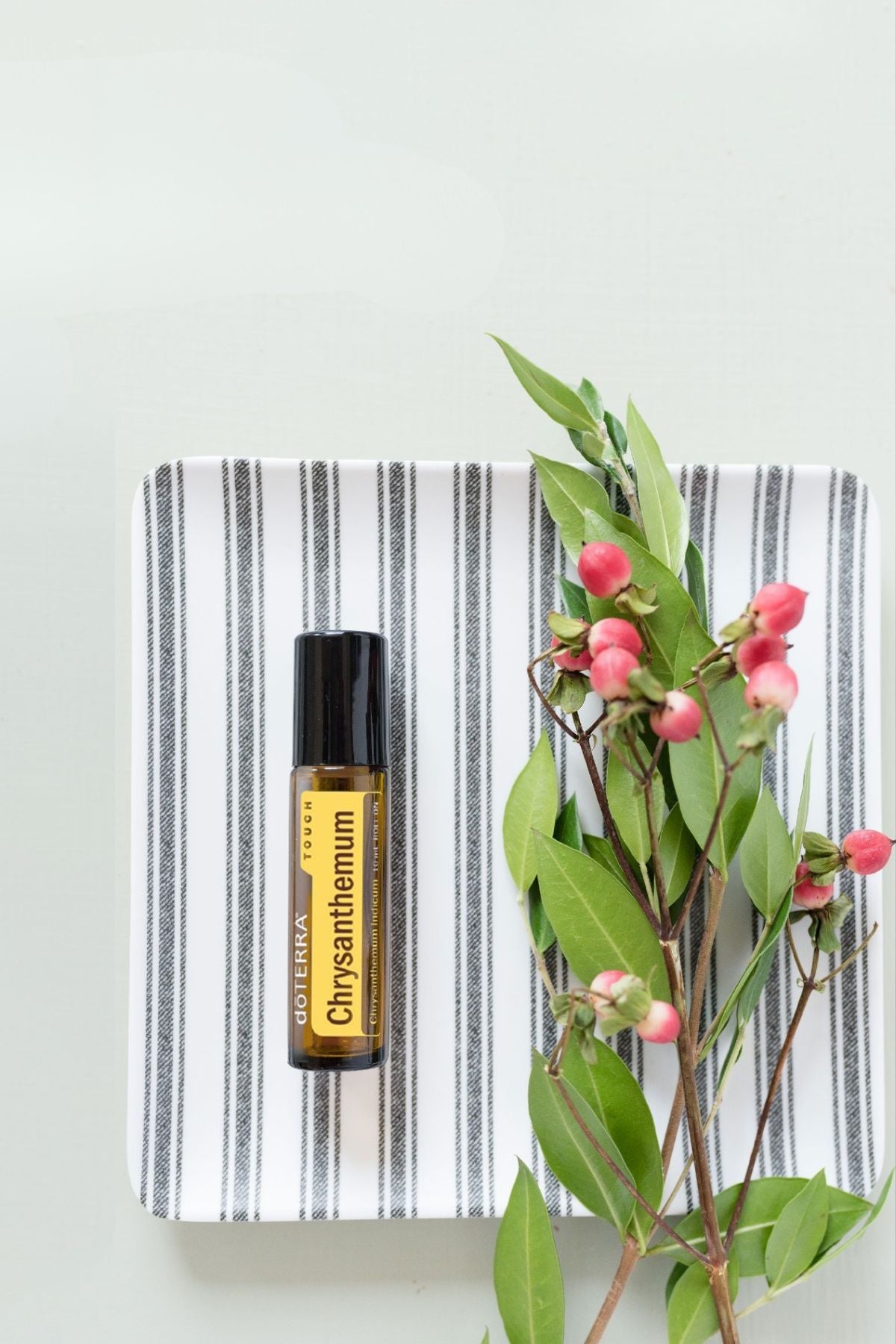 doTERRA Chrysanthemum Touch Roll-on | dōTERRA – Home Essential Oils