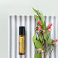 doTERRA Chrysanthemum Touch Roll-on