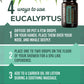 An informational graphic titled '4 ways to use EUCALYPTUS' with a small bottle of GotTerra Eucalyptus essential oil shown at the top right. The design uses dark green leaves, a white background, and teal-to-green gradient text blocks with numbered usage instructions.