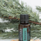 A small amber glass bottle of doTERRA Balance essential oil with a black cap and teal label, placed on a white surface with pine branches and small crystals behind and around it.