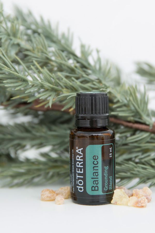 A small amber glass bottle of doTERRA Balance essential oil with a black cap and teal label, placed on a white surface with pine branches and small crystals behind and around it.