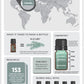 doTERRA Black Spruce Essential Oil