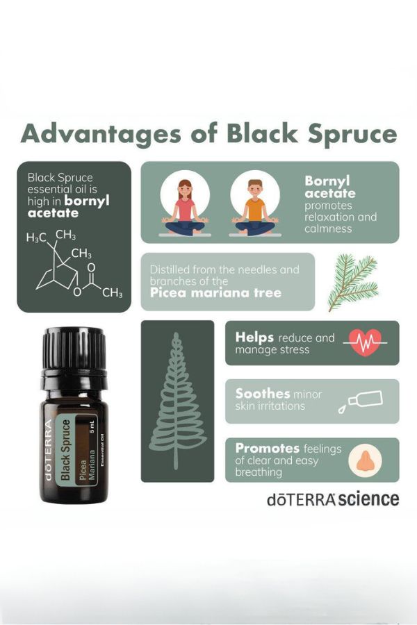 doTERRA Black Spruce Essential Oil