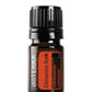 doTERRA Cinnamon Bark Essential Oil