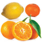 doTERRA Citrus Bliss Blend