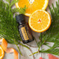 doTERRA Citrus Bliss Blend