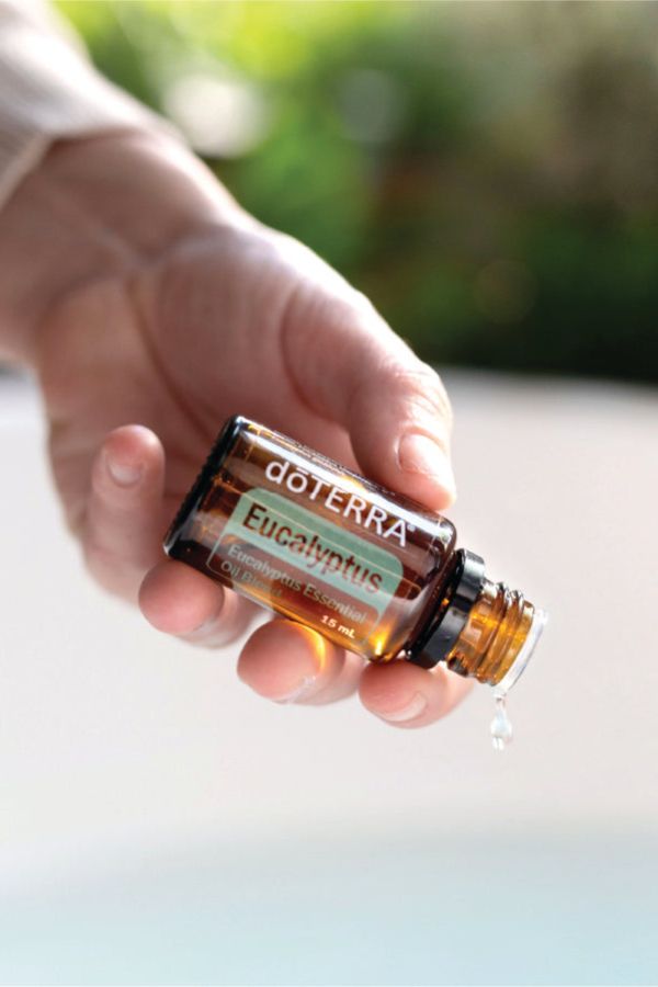 BOGO: Buy Spearmint, Get Eucalyptus Free