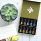 doTERRA Family Essentials Kit