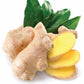 doTERRA Ginger Essential Oil