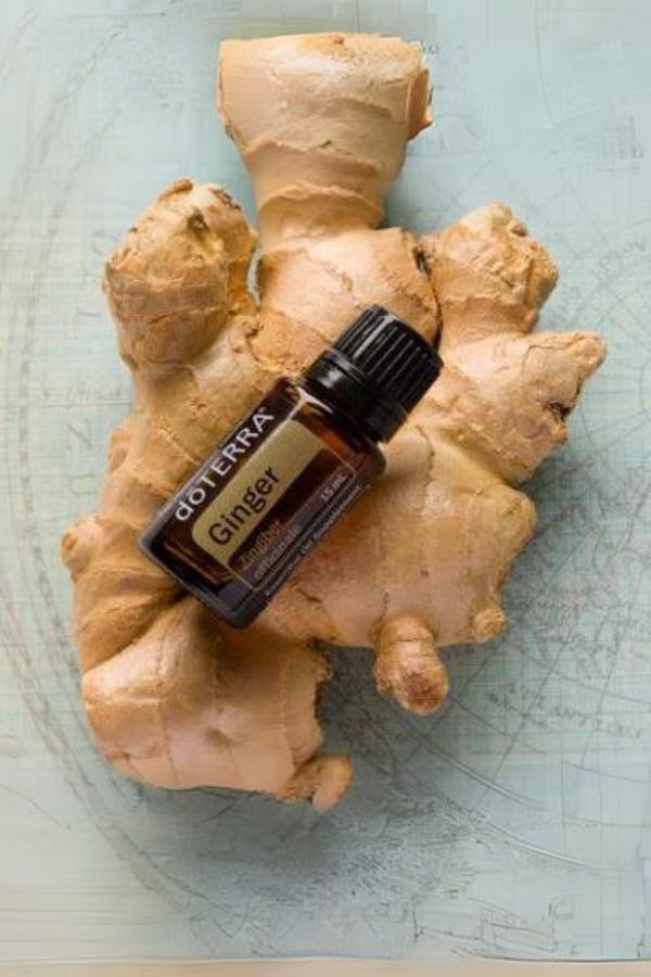 doTERRA Ginger Essential Oil