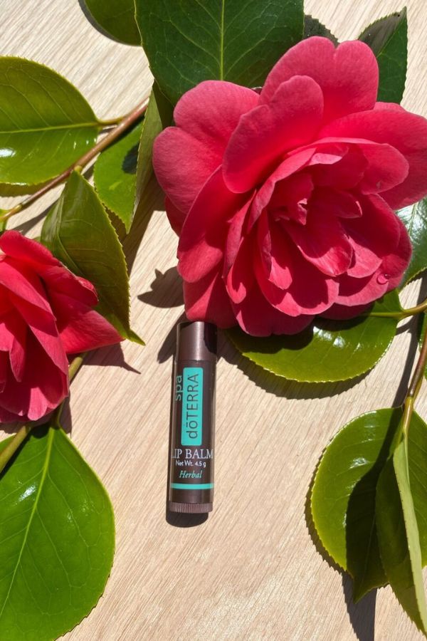 doTERRA Herbal Lip Balm