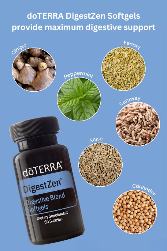 DigestZen Digestive Blend Softgels | dōTERRA Essential Oils