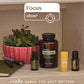 doTERRA Focus Bundle on a desk shelf with a succulent - Make room for what matters